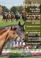 Rencontres Anglo Course 2012