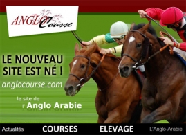 Un nouveau site pour l'Anglo Course