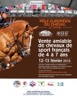 Vente de chevaux de sport