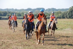 Finale d'endurance à Uzès  J-1