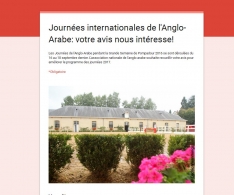 Journées de l'Anglo-Arabe à...