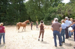 FORMATION AU JUGEMENT...