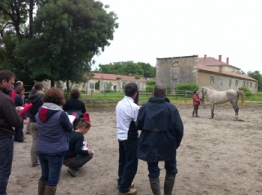 Formation de Juges AA à...