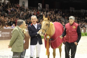 Jumping de Bordeaux 2013:...