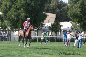 Endurance internationale : Un...