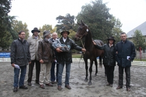 Rencontres Anglo de Tarbes: les...