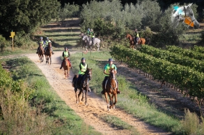 finale Endurance jeunes chevaux...