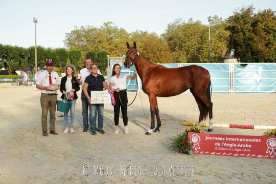 Libby de Suzan AA championne de France des 2 ans section 1&2, 2eme de l'inter