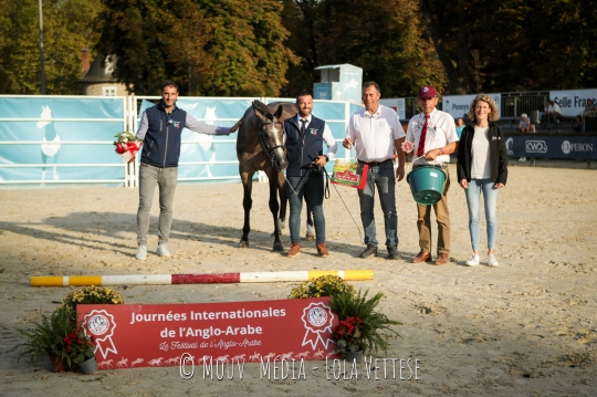 Fascinosa Baia AA  championne internationale des 2 ans section 1&2