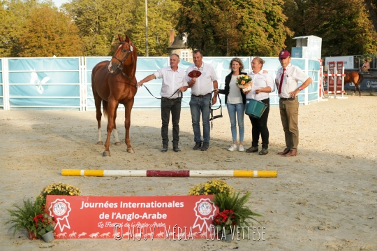 Eragon Pompadour AA champion de France et inter des 2 ans section 1&2