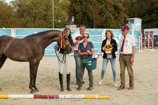 Kalawan de Gassies AA champion des 3 ans endurance