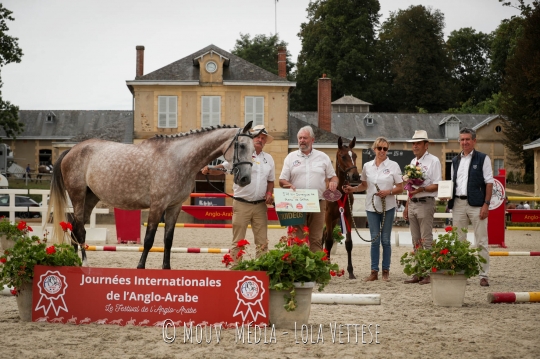 New Star d'Ovalie AA championne des foals section 1&2