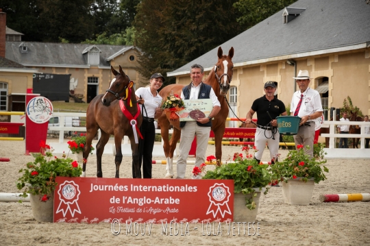 Neolia du Tsia AA championne des foals femelles section 3