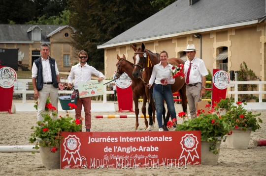 Neville du Manaou AA champion des foals mâles section 1&2