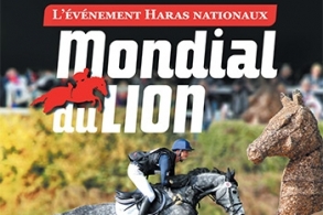 Mondial du Lion J-2