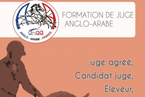 Formation de juges anglo-arabes...