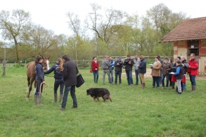 Formation de juges à Fleurance