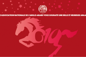 Belle année 2019!