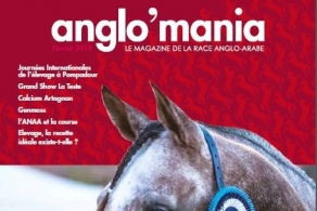 Anglo'Mania février 2019