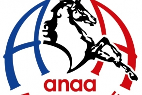 Nouveau look pour le logo de l'ANAA