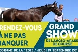 Participez au Grand Show Anglo...