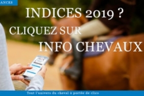 Les indices 2019 sont sortis!