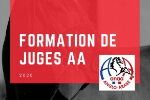 formation de juges AA