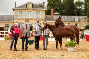 Résulats championnat des Foals AA