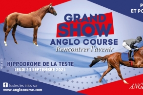 Le Grand Show Anglo Course 2021