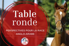 Table ronde: Perspectives pour...