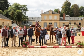 résultats championnat de...