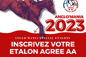 Anglo'Mania spécial étalons 2023