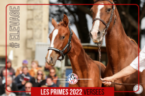 Les primes PACE AA 2022 sont...