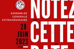 ASSEMBLEE GENERALE EXTRAORDINAIRE