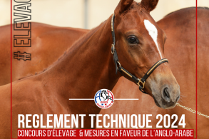 Le règlement technique 2024...