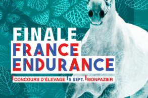 Finale d'élevage endurance à...